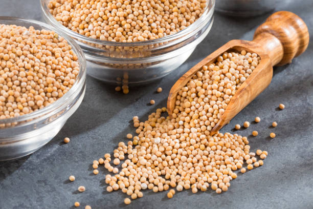 Fresh Yellow Mustard Seed